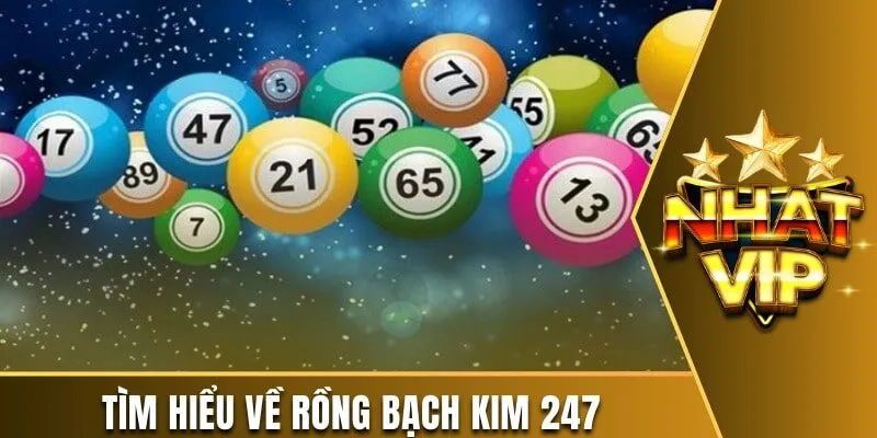 Khám phá thông tin về trang Rồng Bạch Kim