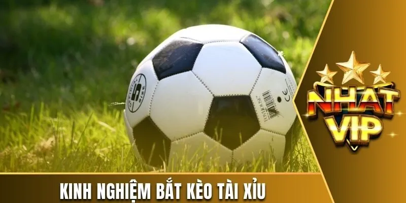 Kinh nghiệm bắt kèo tài xỉu