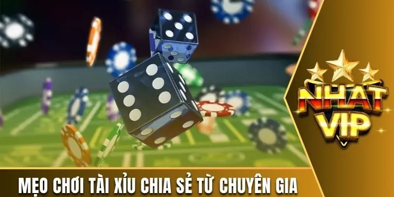 Mẹo chơi tài xỉu chia sẻ từ chuyên gia