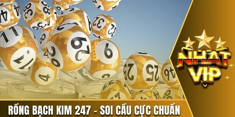 Rồng Bạch Kim 247